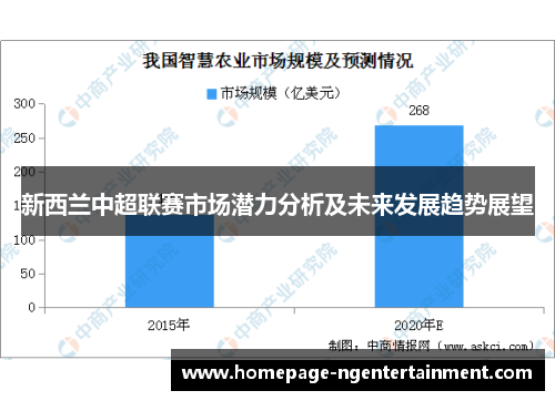 新西兰中超联赛市场潜力分析及未来发展趋势展望
