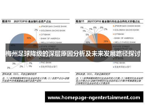 梅州足球降级的深层原因分析及未来发展路径探讨