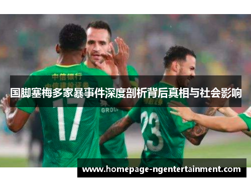 国脚塞梅多家暴事件深度剖析背后真相与社会影响