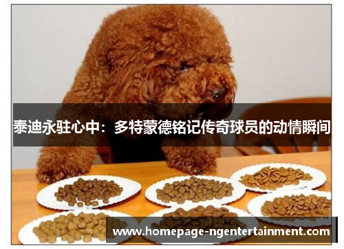 泰迪永驻心中：多特蒙德铭记传奇球员的动情瞬间