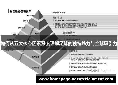 如何从五大核心因素深度理解足球的独特魅力与全球吸引力