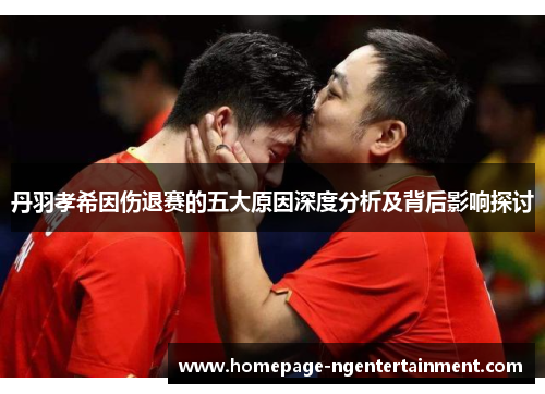 丹羽孝希因伤退赛的五大原因深度分析及背后影响探讨