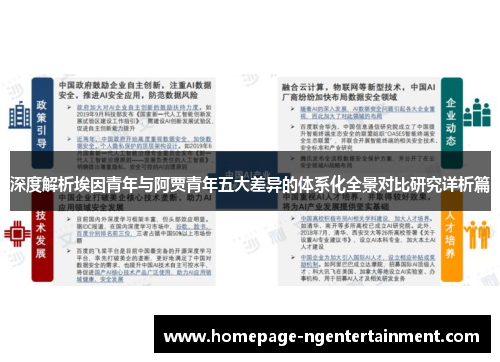 深度解析埃因青年与阿贾青年五大差异的体系化全景对比研究详析篇