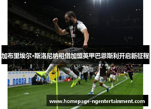 加布里埃尔·斯洛尼纳租借加盟英甲巴恩斯利开启新征程 加布里埃尔·斯洛尼纳租借加盟英甲巴恩斯利开启新征程